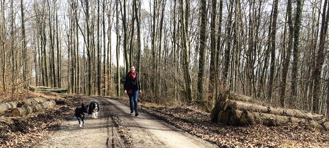 Leinenlos – wie hier Fizz und Skipper mit Inka – durch den Deister dürfen Hunde nur noch im März laufen, denn am 1. April beginnt der Leinenzwang während der Brut- und Setzzeit. (Bild: An-der-Leine.de / Inka Burow)